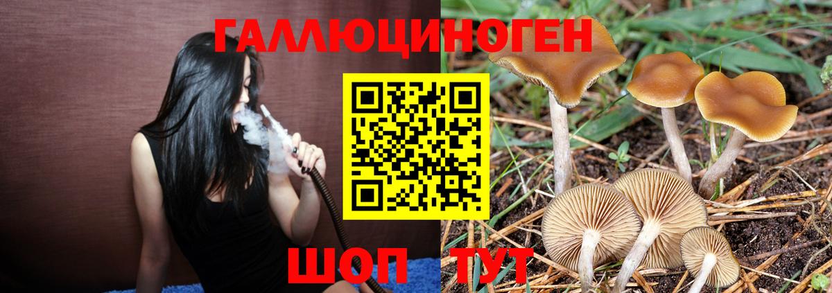 Галлюциногенные грибы мицелий Норильск
