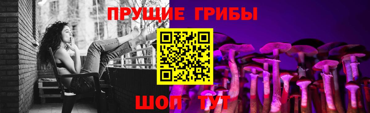 как найти закладки  Галлюциногенные грибы Psilocybe  Норильск  Вход с VPN  Галлюциногенные грибы мухоморы 